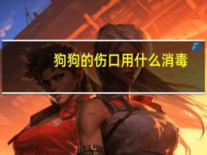 狗狗的伤口用什么消毒