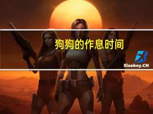 狗狗的作息时间