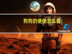 狗狗的便便怎么看
