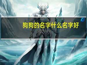 狗狗的名字什么名字好