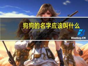 狗狗的名字应该叫什么