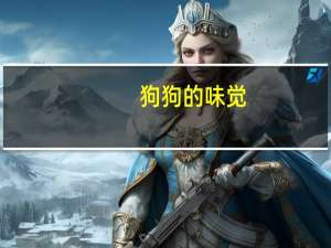 狗狗的味觉