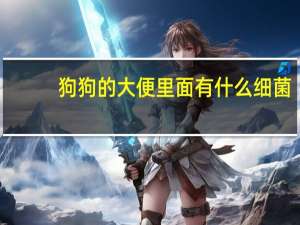 狗狗的大便里面有什么细菌