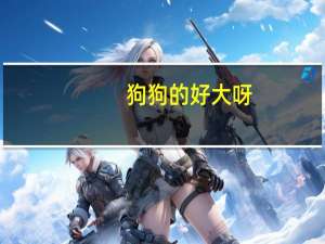 狗狗的好大呀