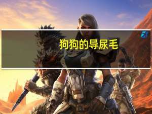 狗狗的导尿毛
