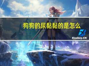 狗狗的尿黏黏的是怎么