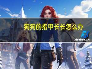 狗狗的指甲长长怎么办