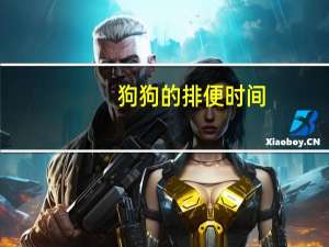 狗狗的排便时间