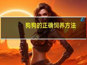 狗狗的正确饲养方法