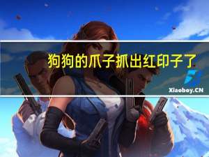 狗狗的爪子抓出红印子了