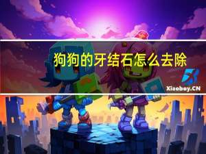 狗狗的牙结石怎么去除