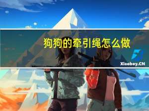 狗狗的牵引绳怎么做