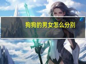 狗狗的男女怎么分别