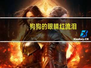 狗狗的眼睛红流泪