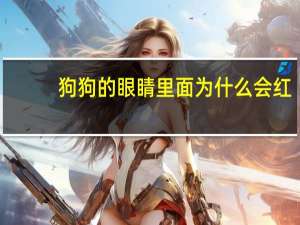 狗狗的眼睛里面为什么会红