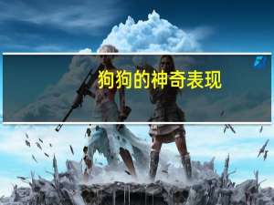 狗狗的神奇表现