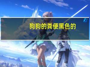 狗狗的粪便黑色的
