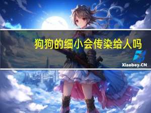 狗狗的细小会传染给人吗