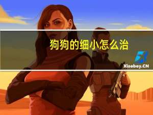狗狗的细小怎么治