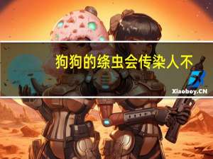 狗狗的绦虫会传染人不