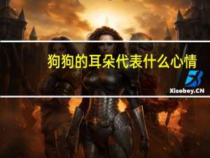 狗狗的耳朵代表什么心情