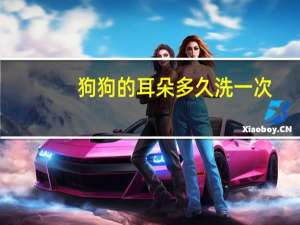 狗狗的耳朵多久洗一次