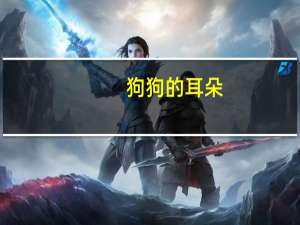 狗狗的耳朵