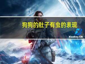 狗狗的肚子有虫的表现