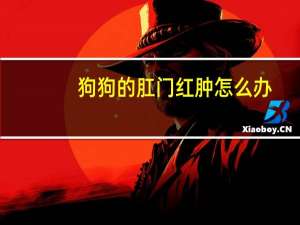 狗狗的肛门红肿怎么办