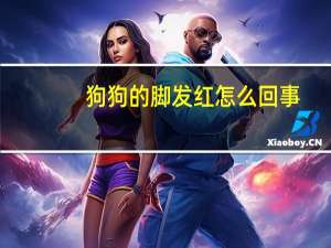 狗狗的脚发红怎么回事