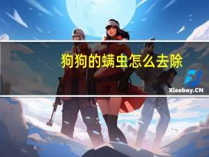 狗狗的螨虫怎么去除