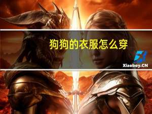 狗狗的衣服怎么穿