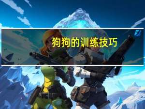 狗狗的训练技巧