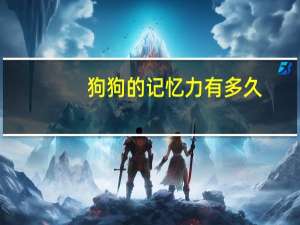 狗狗的记忆力有多久