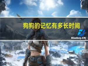 狗狗的记忆有多长时间