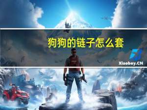 狗狗的链子怎么套