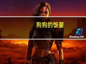 狗狗的饭量