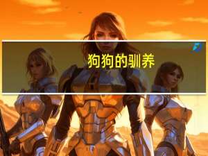狗狗的驯养