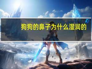 狗狗的鼻子为什么湿润的