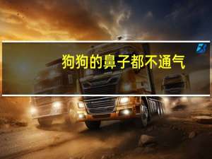 狗狗的鼻子都不通气