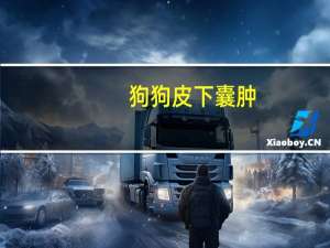 狗狗皮下囊肿