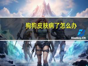 狗狗皮肤病了怎么办