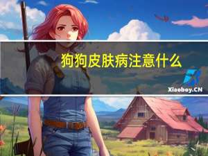 狗狗皮肤病注意什么