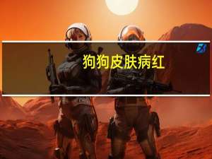 狗狗皮肤病红