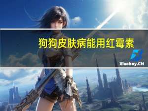 狗狗皮肤病能用红霉素