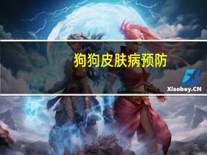 狗狗皮肤病预防