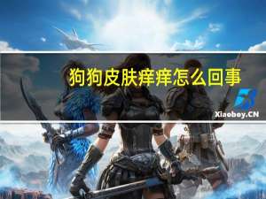 狗狗皮肤痒痒怎么回事
