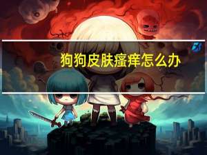 狗狗皮肤瘙痒怎么办