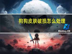 狗狗皮肤破损怎么处理