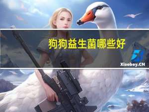 狗狗益生菌哪些好